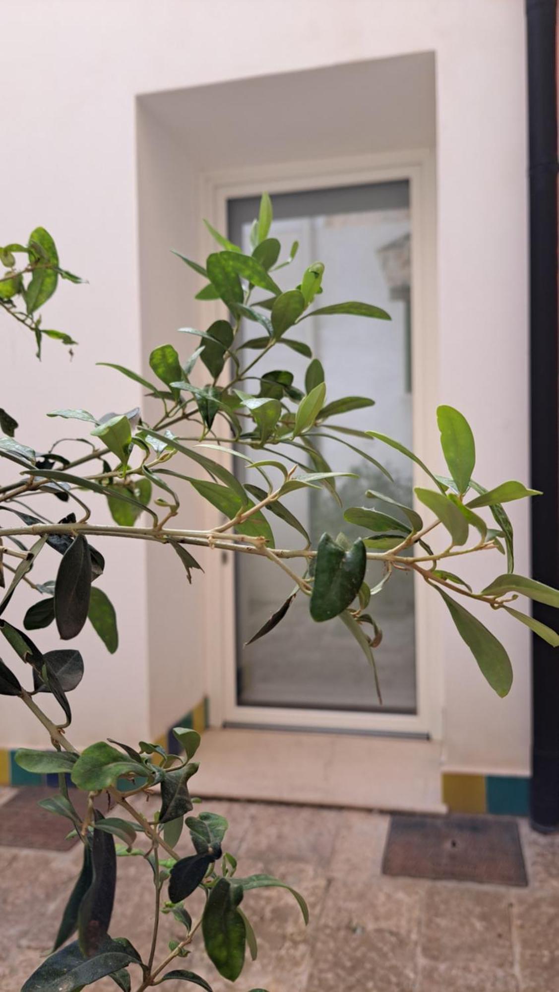 B&B Garibaldi Alcamo Dış mekan fotoğraf
